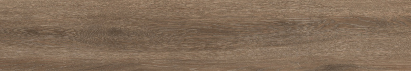 MARYLAND CASTAÑO RECTIFICADO